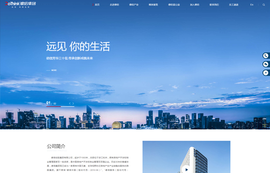 德信控股集团有限公司_南京网站建设